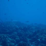 /observatoire/images/17318_0aa02b97f1d769e0442777b3ef26aa89.jpg